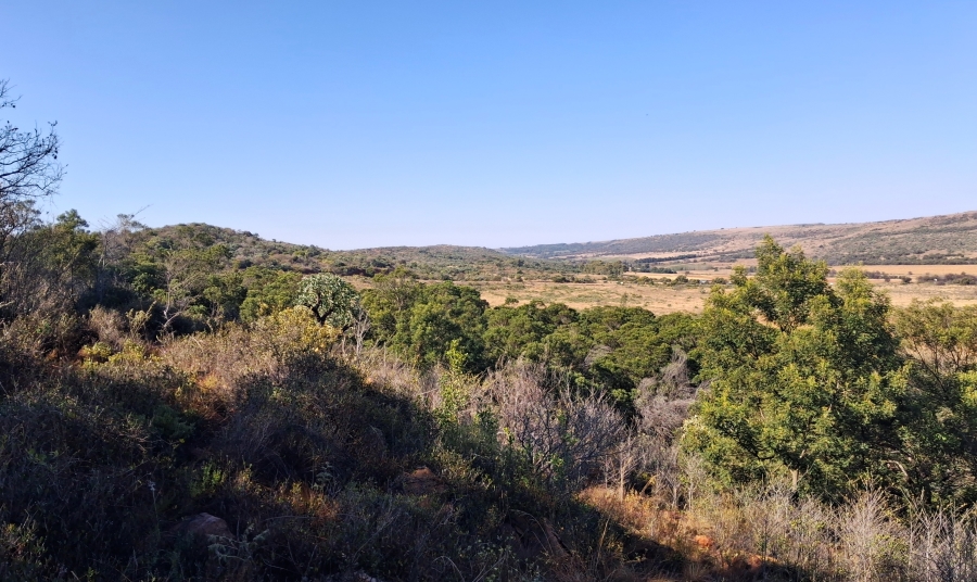 Commercial Property for Sale in Swartruggens North West